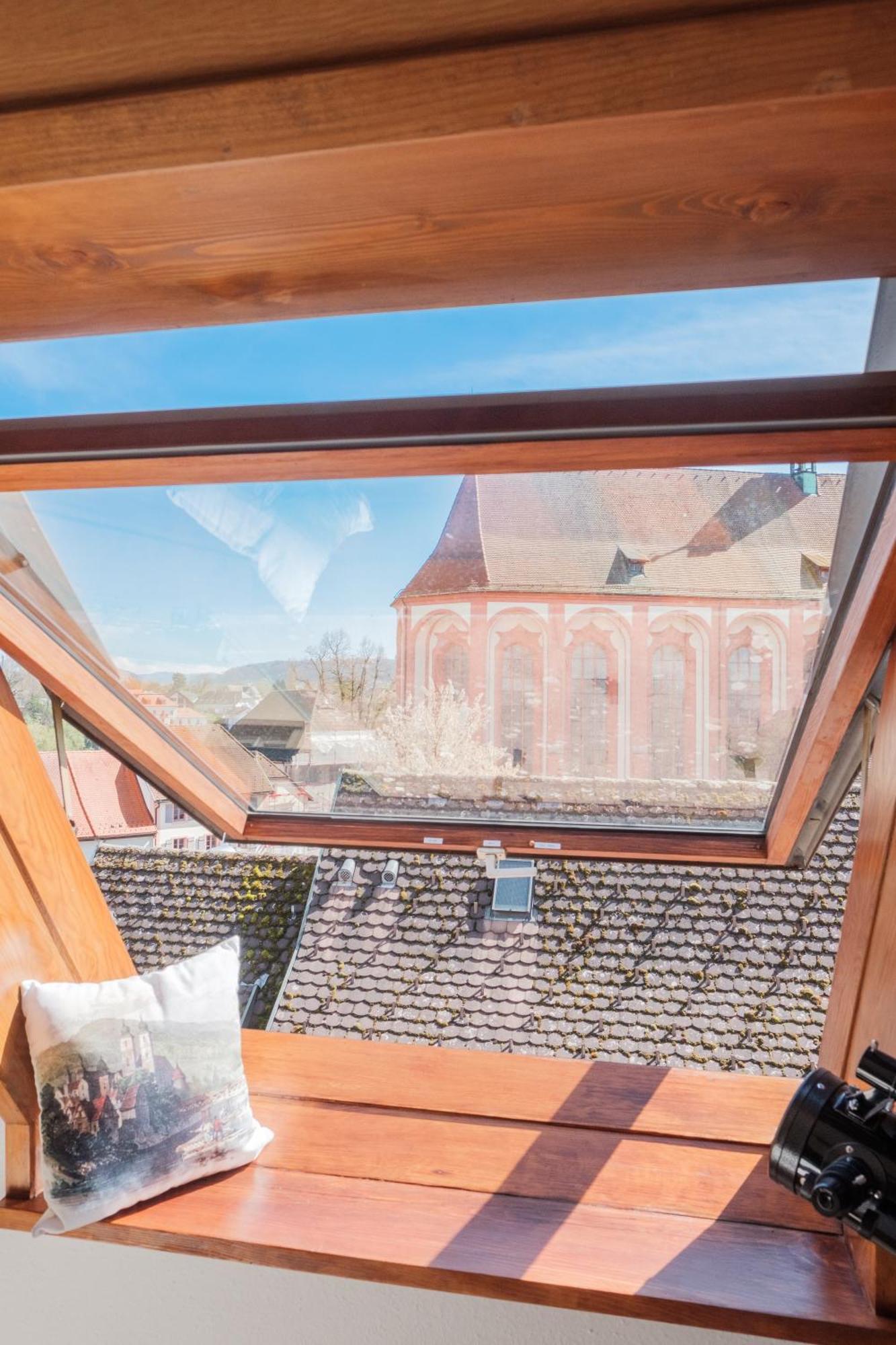 Apartment Neu Deluxe Muensterblick, Maisonette, Kingsize Bett, Kueche, Netflix, Aussicht, E-kamin Bad Sackingen