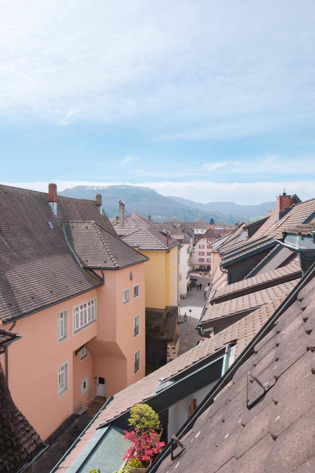 Neu Deluxe Muensterblick, Maisonette, Kingsize Bett, Kueche, Netflix, Aussicht, E-kamin Apartment