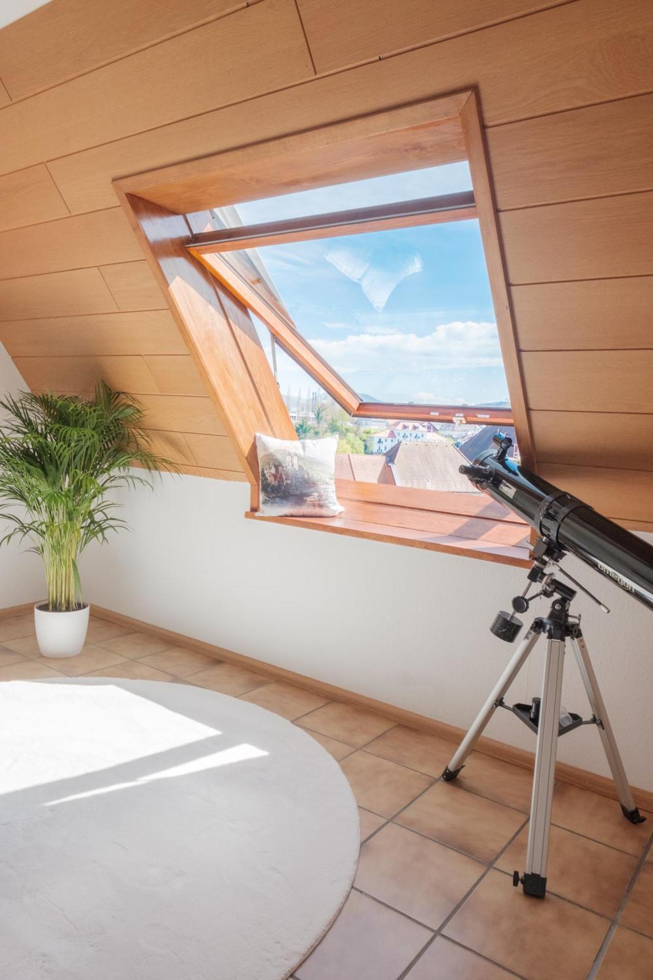 Apartment Neu Deluxe Muensterblick, Maisonette, Kingsize Bett, Kueche, Netflix, Aussicht, E-kamin Bad Sackingen